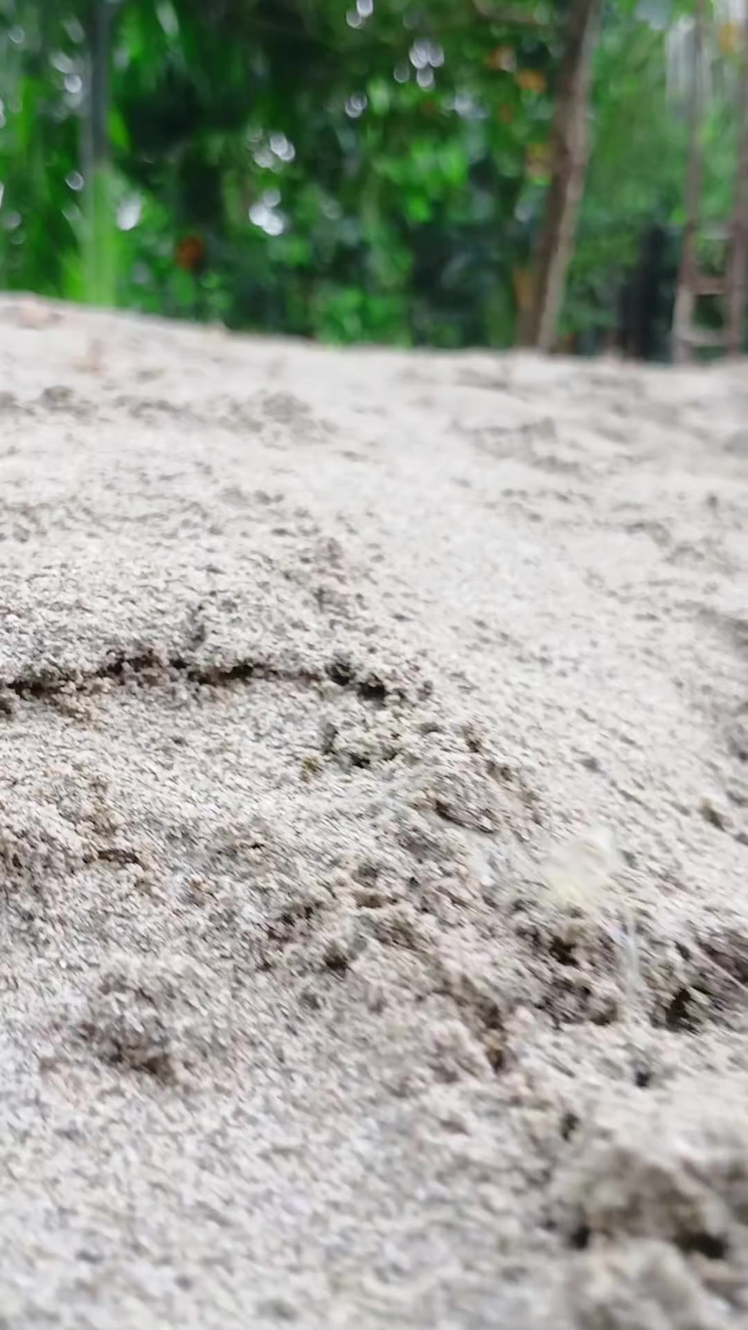 @সুজন মিয়া