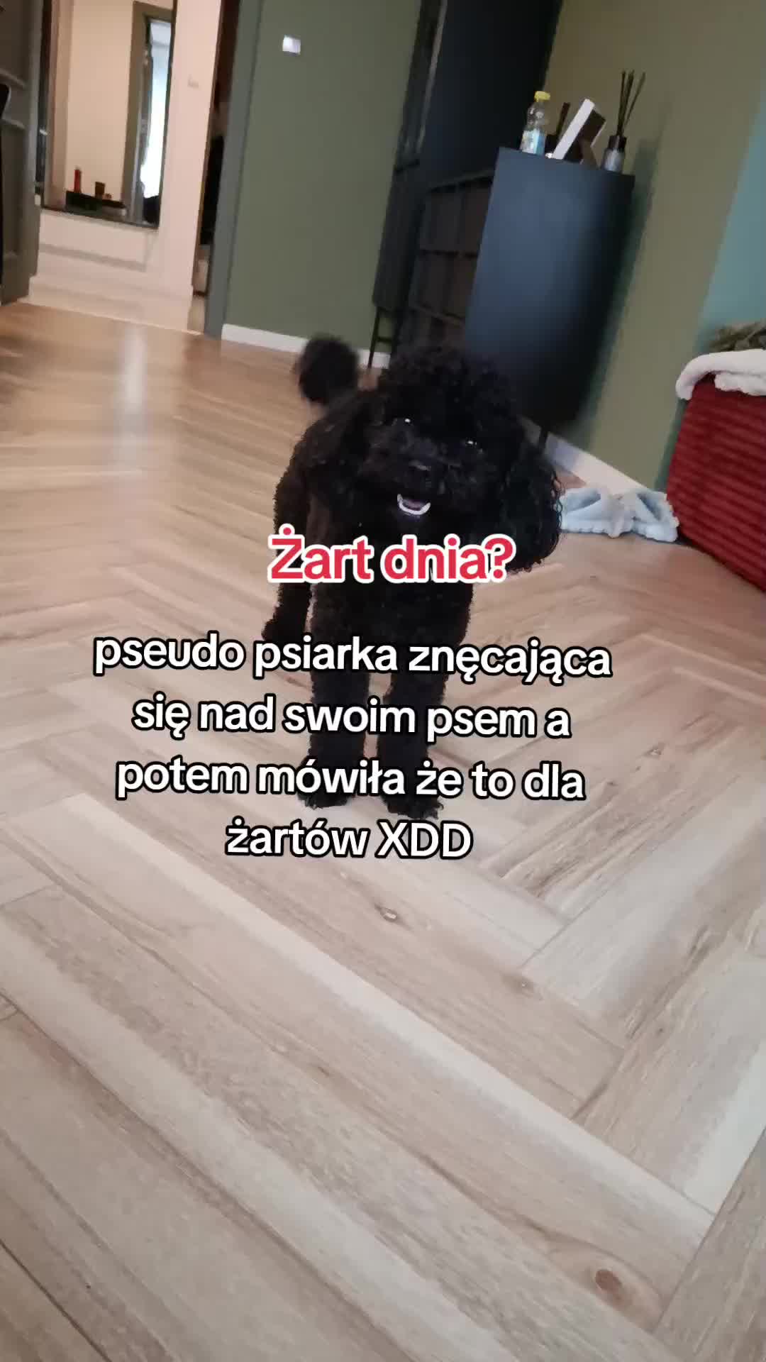 @🔥💯zvziaa_horse💯🔥