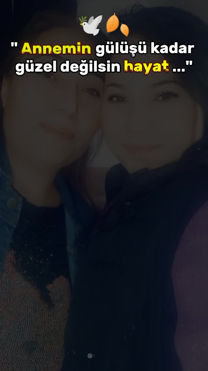 @armi 😎