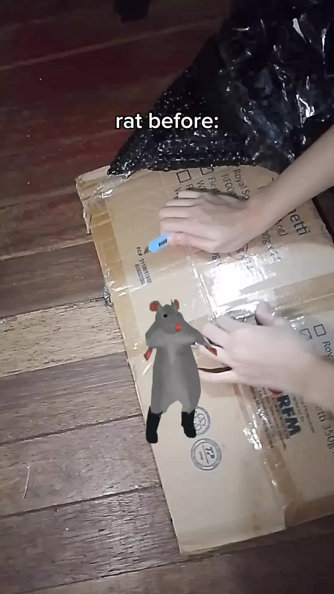@eizardd