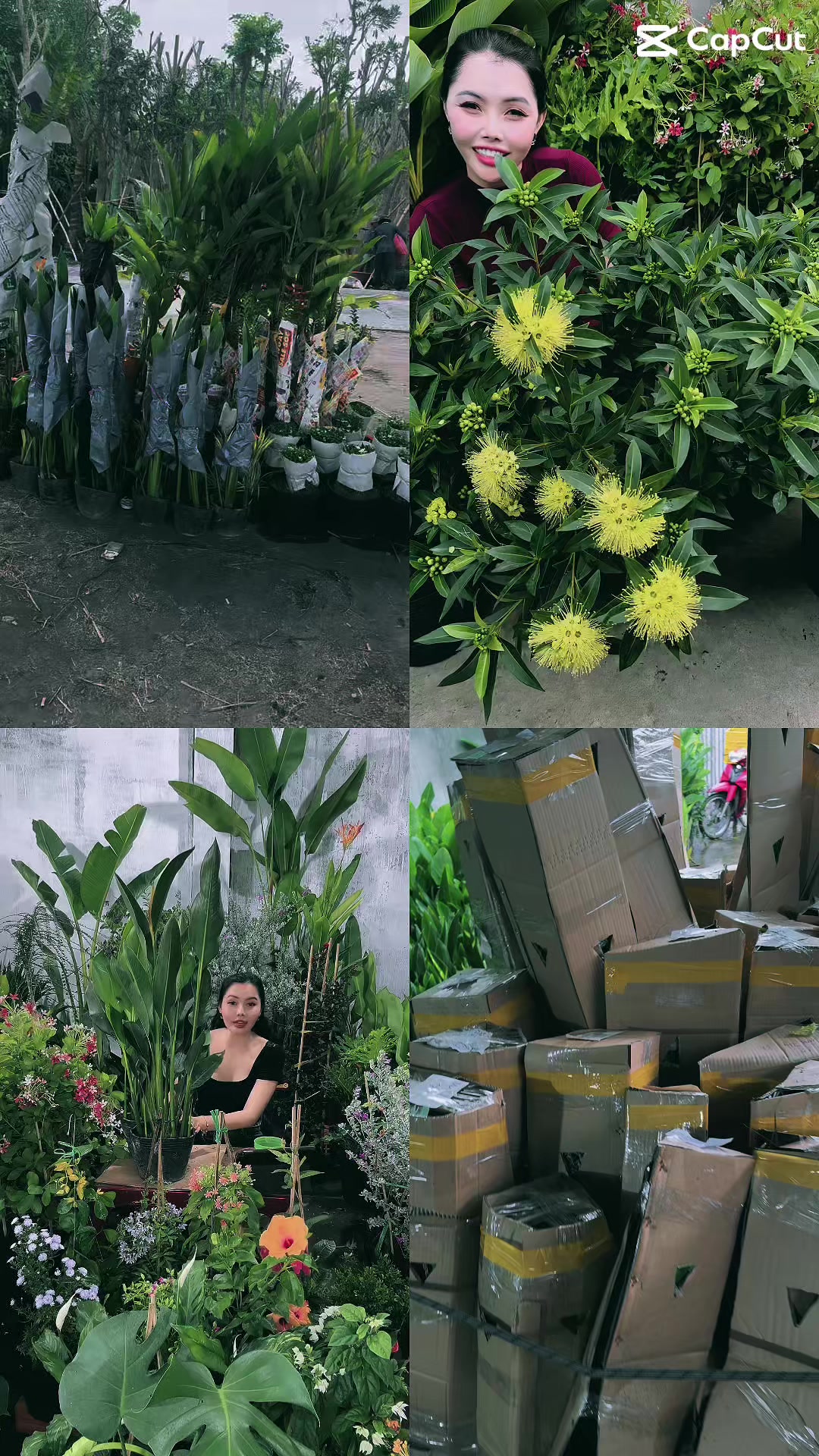 @Tiệm Lá Nhỏ