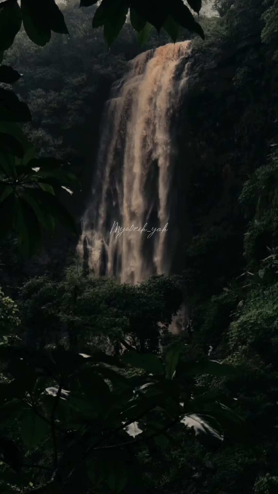 @ꪑꪗꪮ੦ɀỉƙ_ꪗꪖƙ ♪♫♬ 🧬