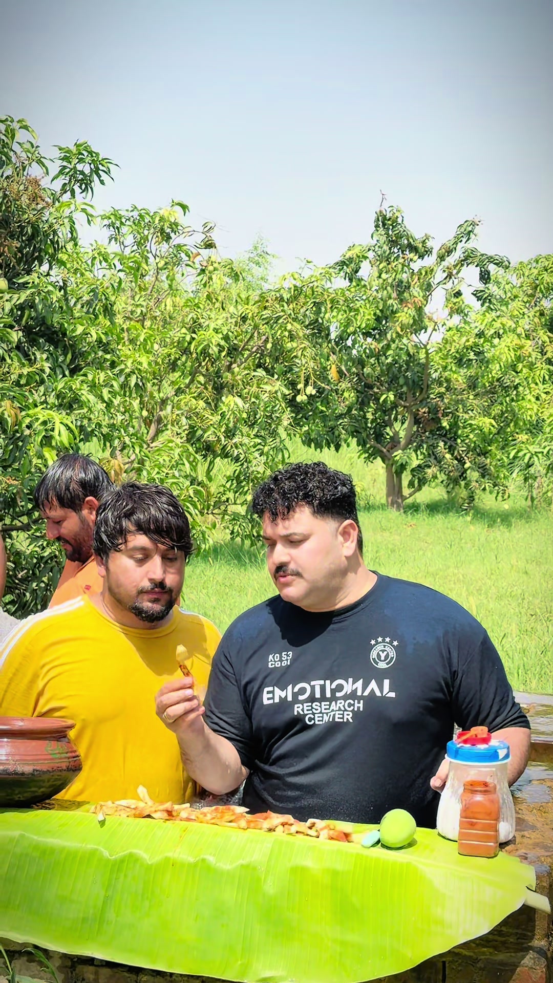 @ashiqahmed