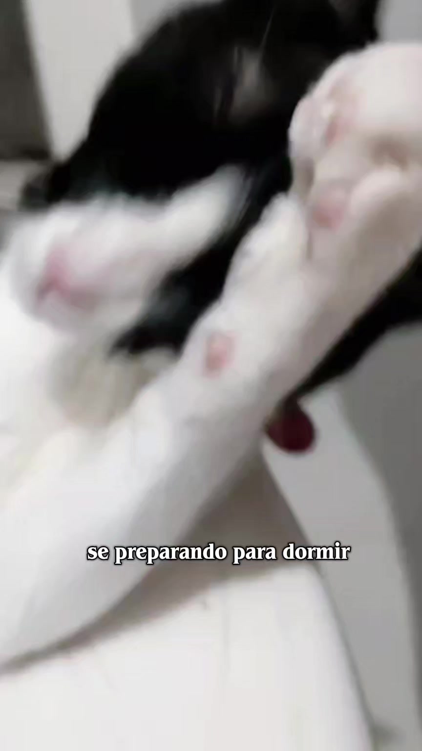 @Rebeca Jessica