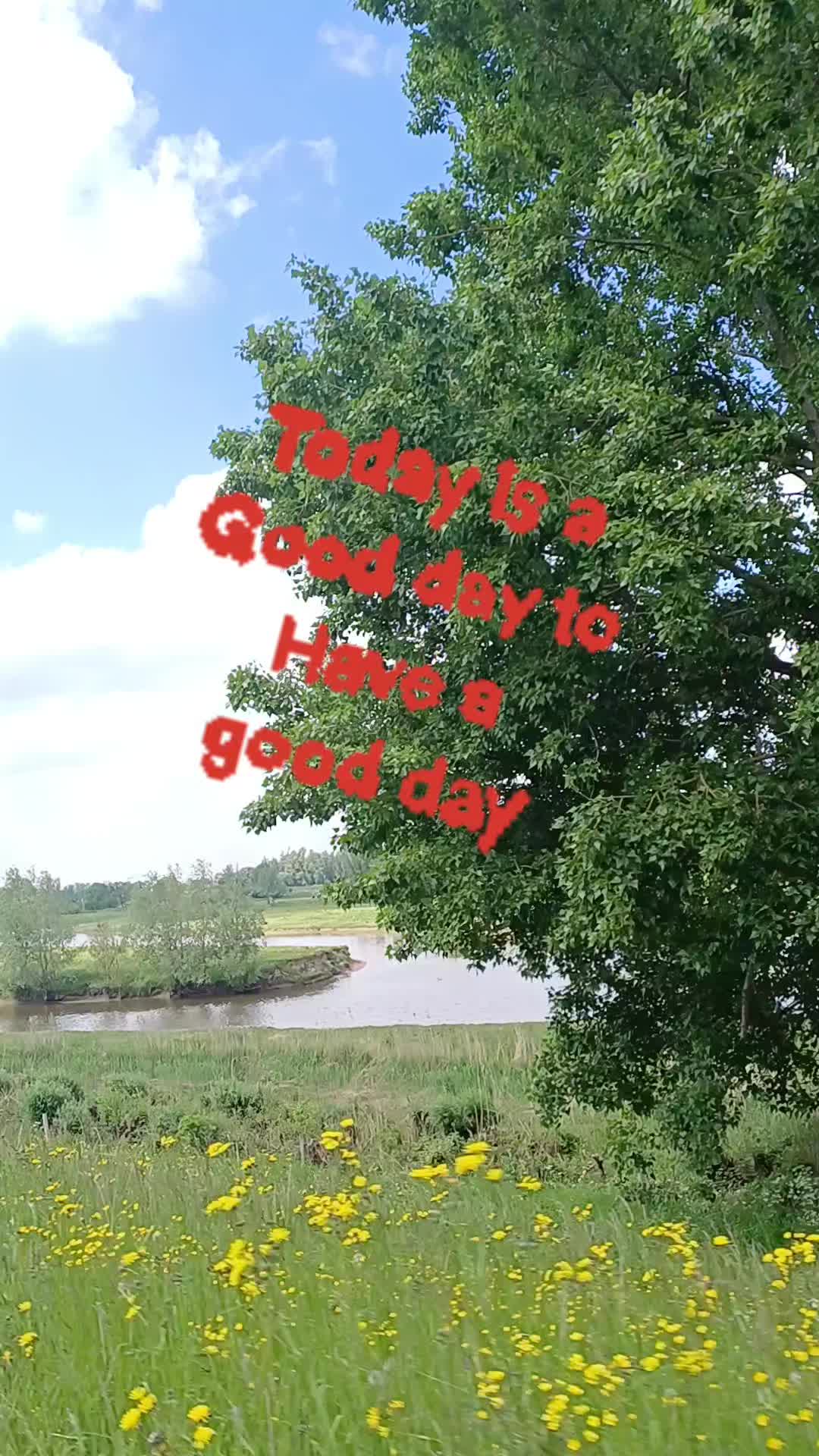 @sonja