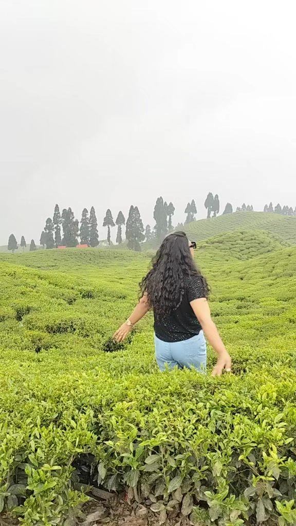 @Amrita Bhattarai