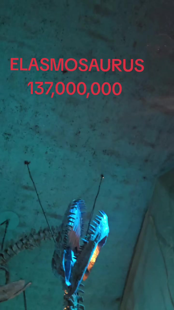 @Goozo