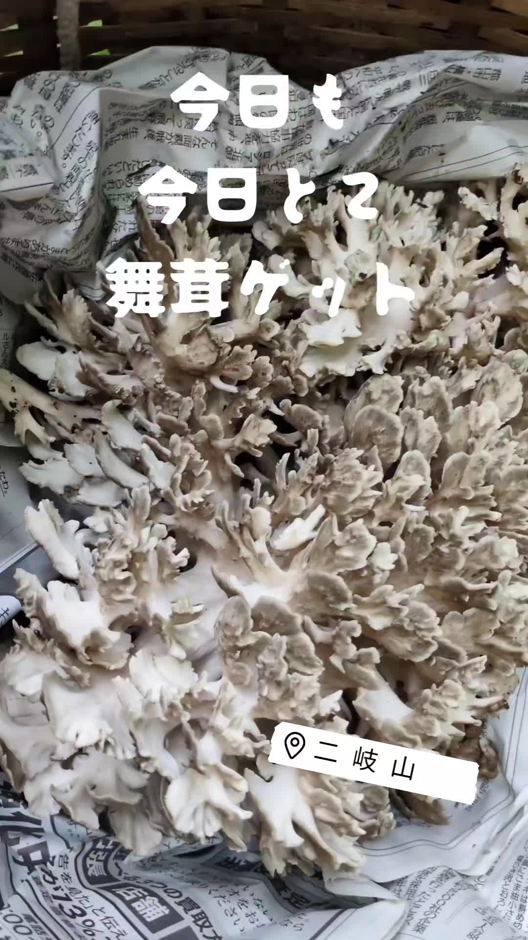 @若旦那