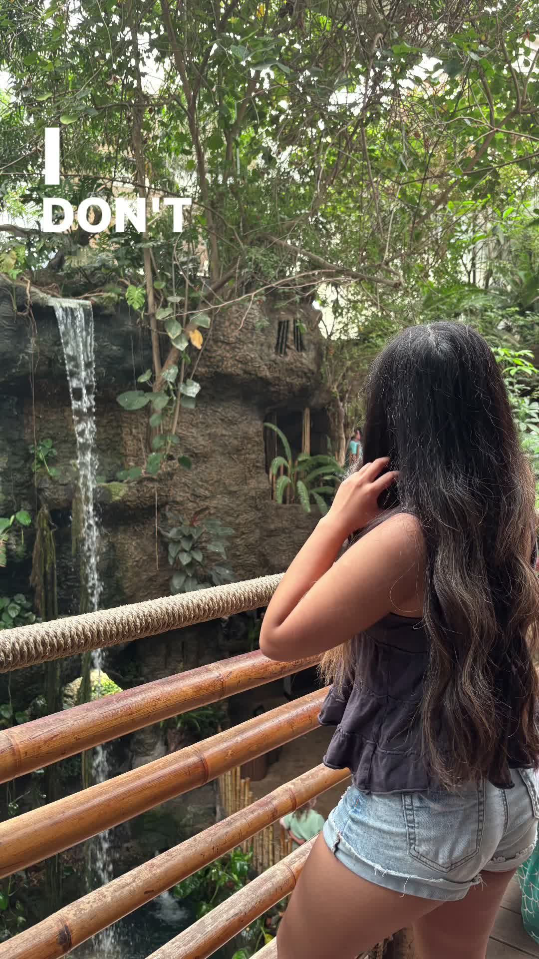 @whoisdisr
