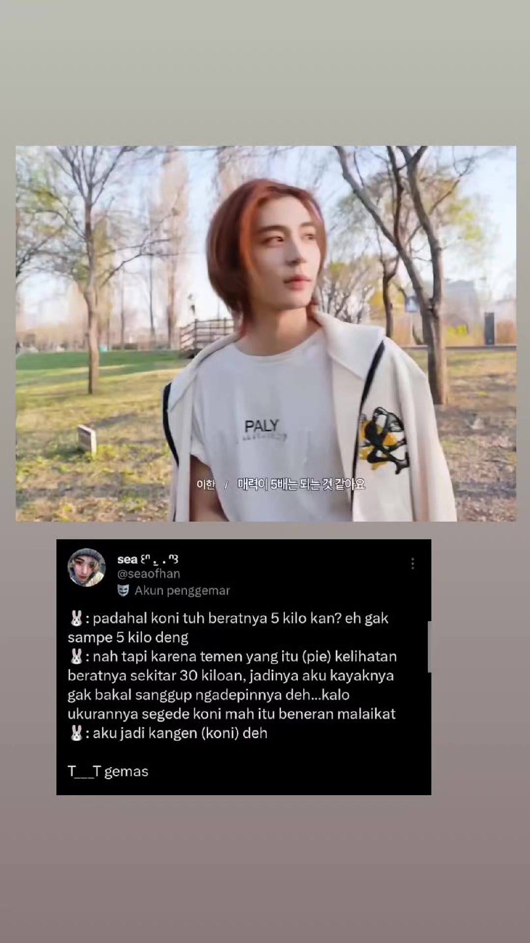 @๐ผ๐๐ฆ๐ฆ๐ฉ๐ข๐ฏ๐ฏ๐ฅ๐ข๐ ๐ซง