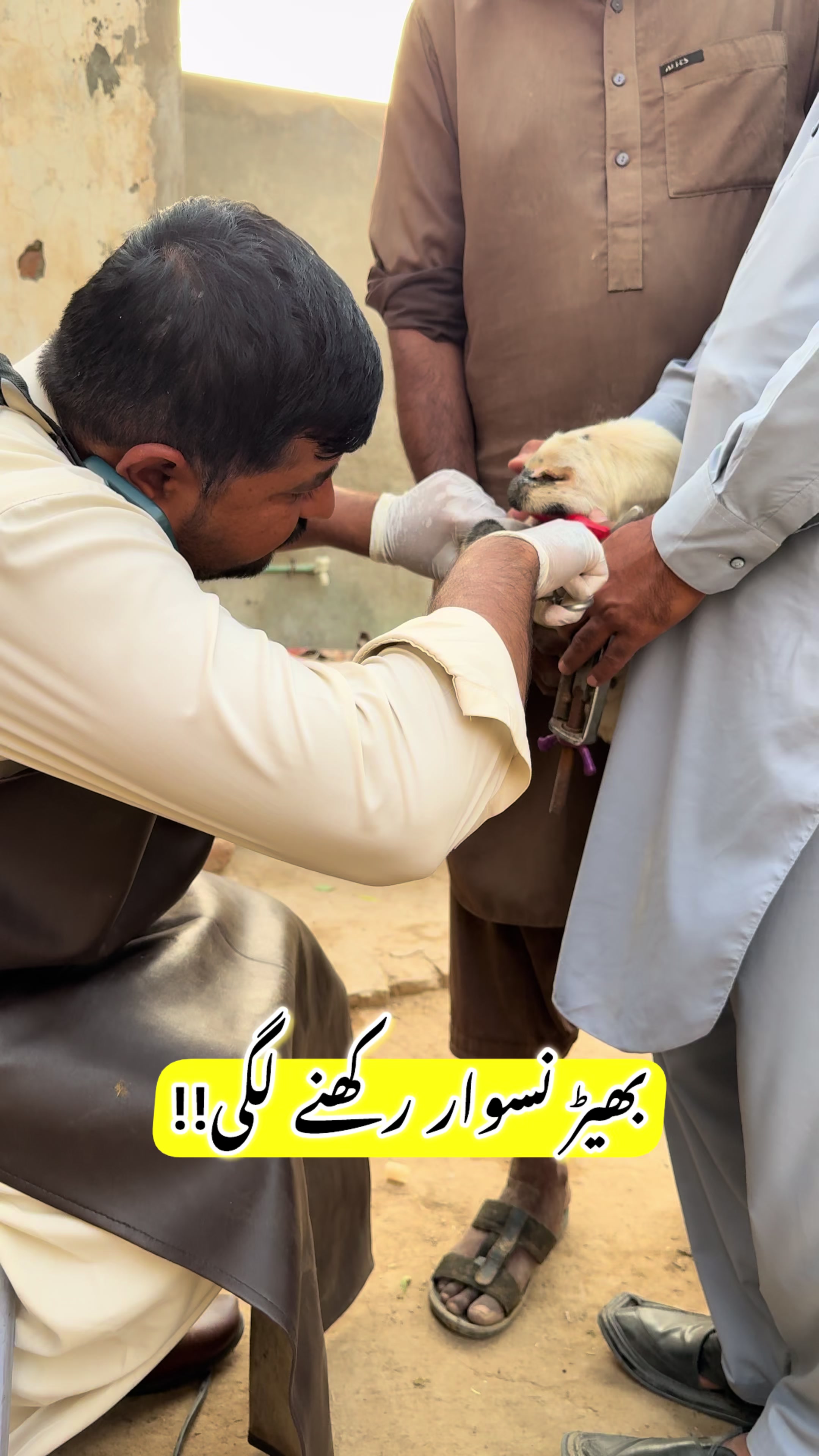@Dr.Mohsin