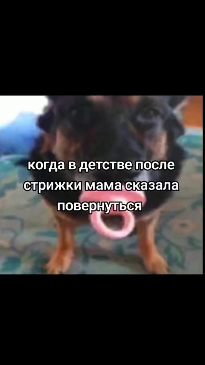 @Mr.Emirade