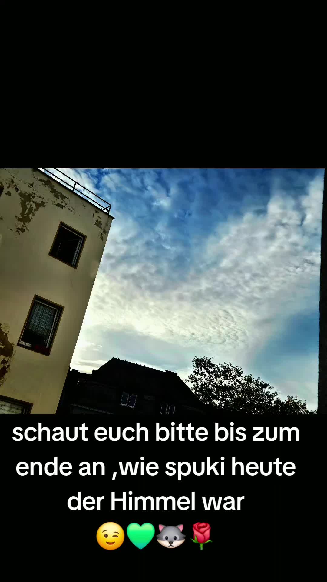 @🕊💚🐺Mohn🐺💚🕊