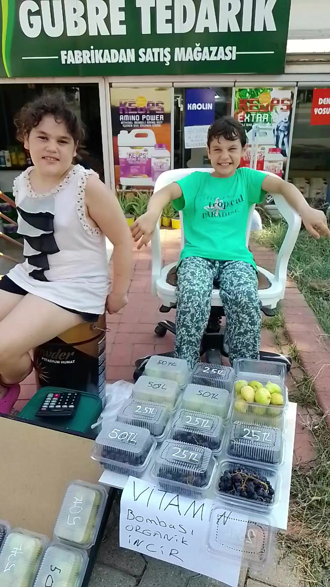 @Alanya avakado dünyası