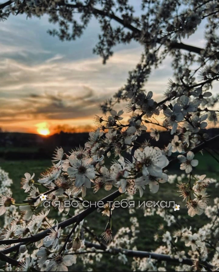 @DARRIX_DM