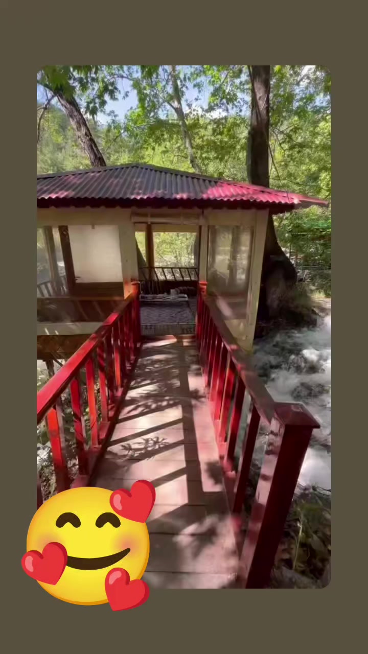 @murselin6344