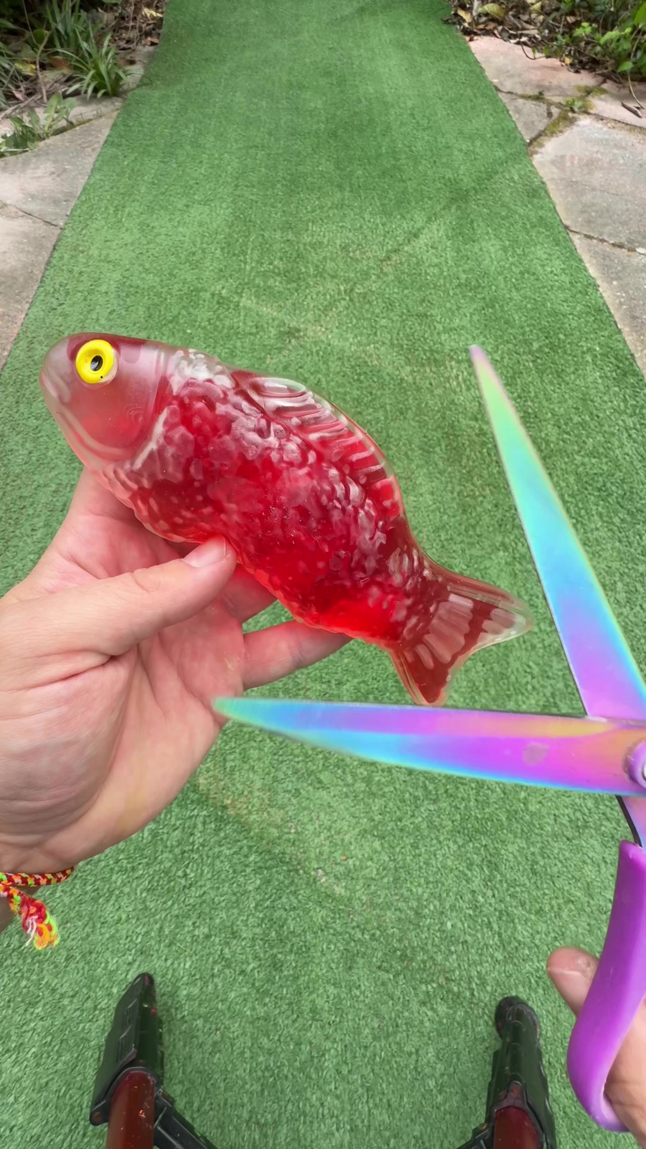 @SHARK ASMR 🦈