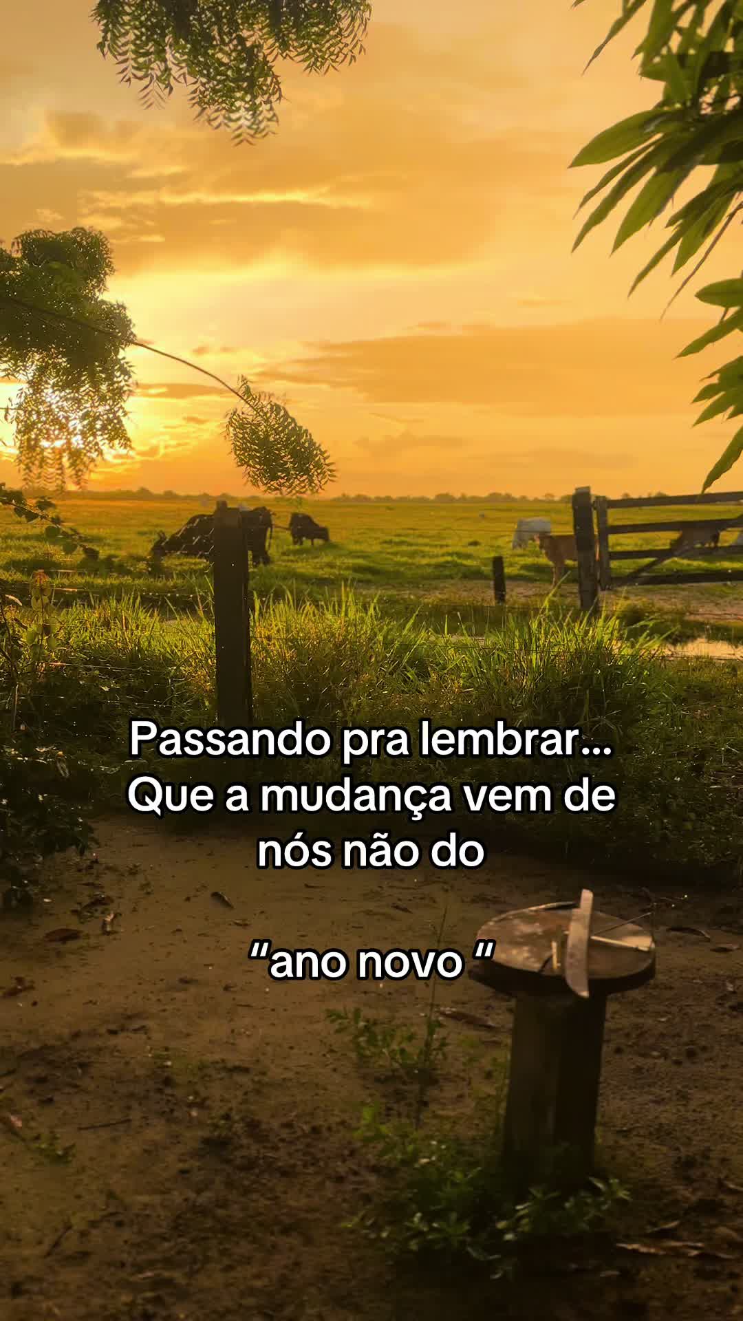 @lukasvieira_🍀