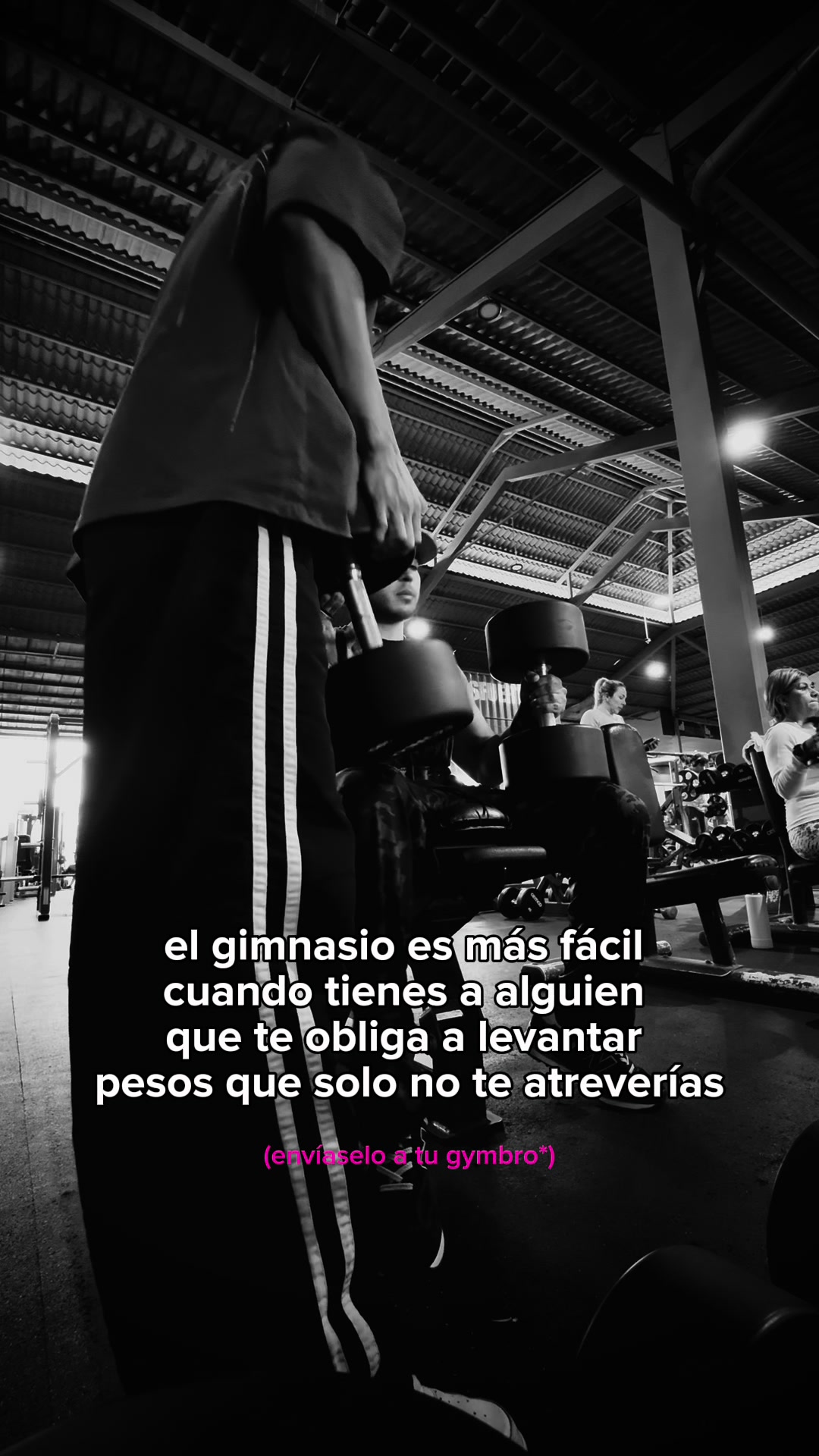 @leo_lazdins