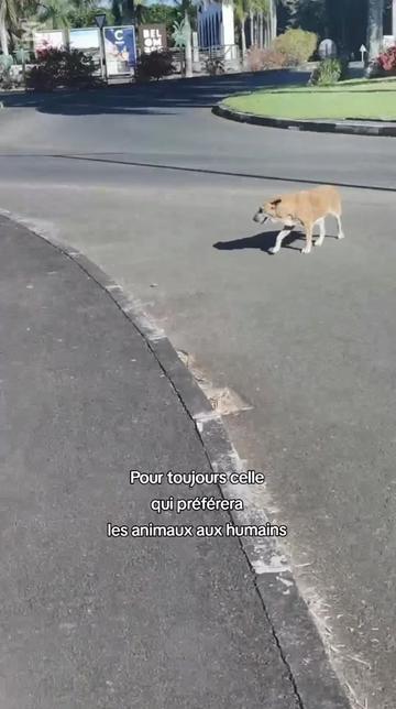 @Rébecca 🐱