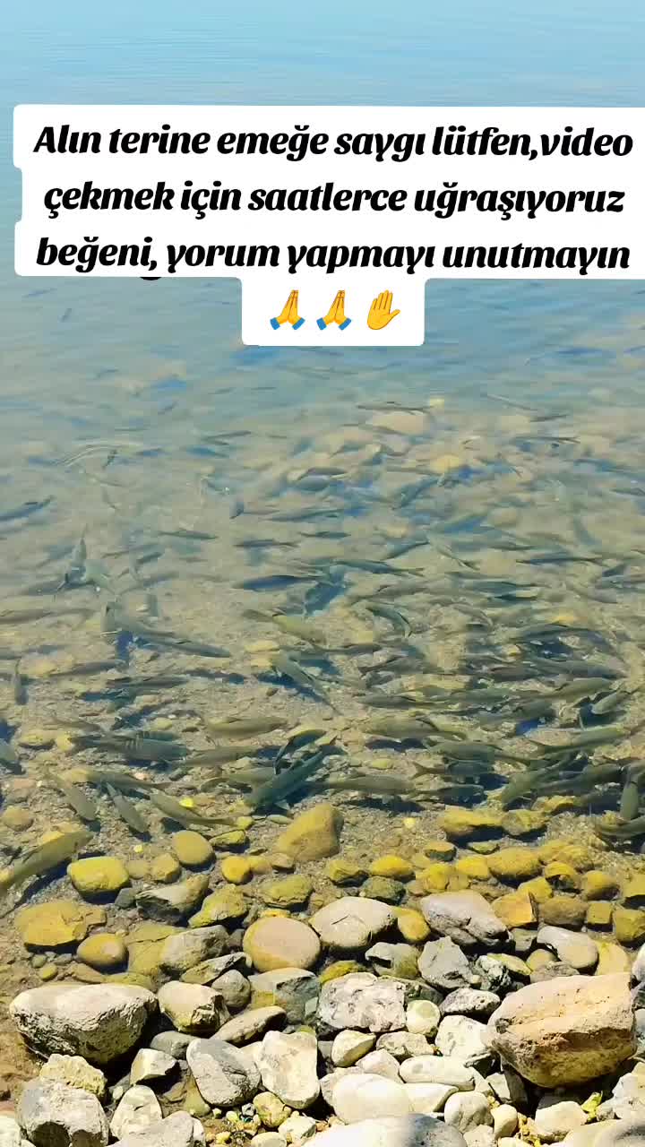 @⚓🐟🐟RECEP_REİS_02🐟🐟⚓