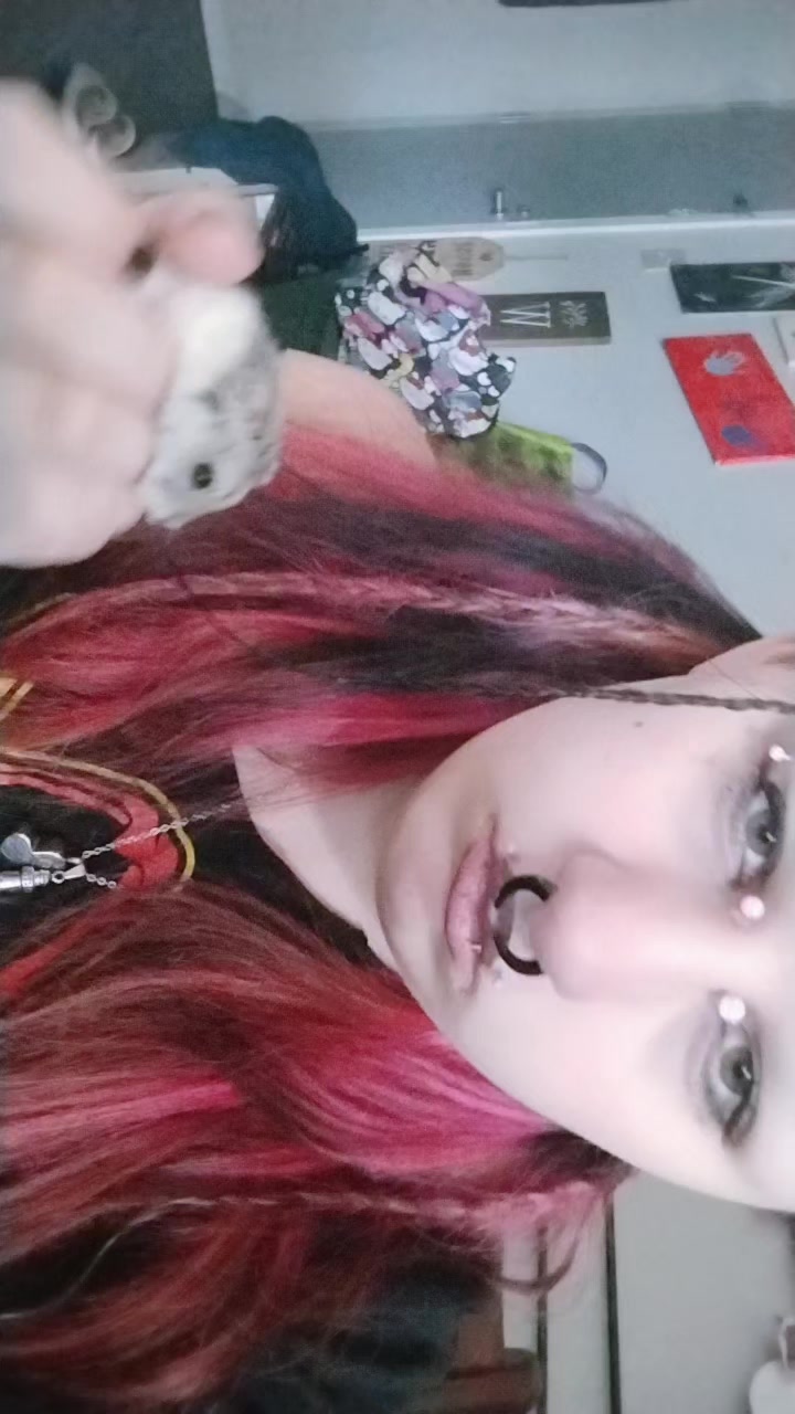 @💤🐇