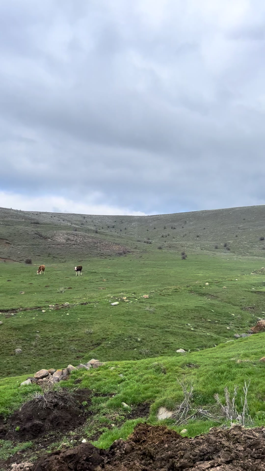 @Talip Cerrahoğlu