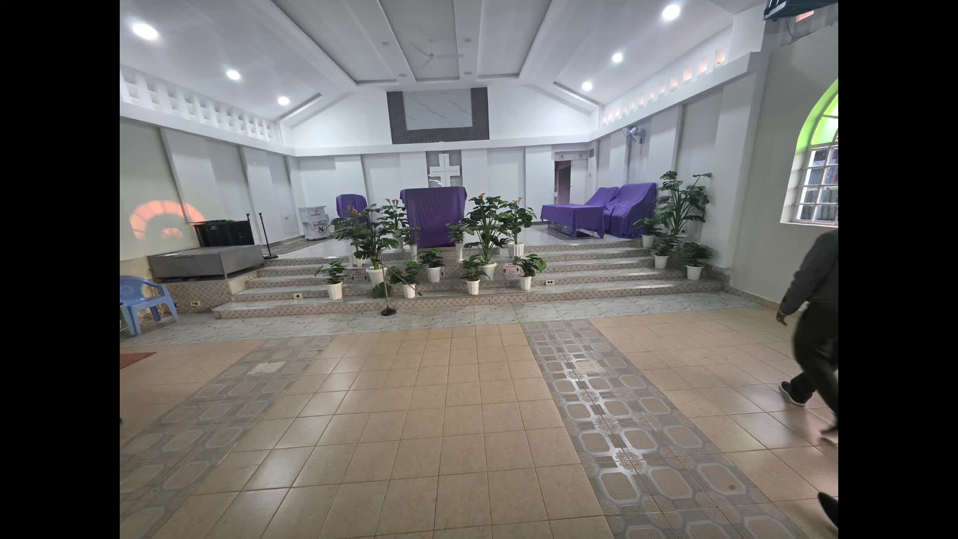 @carpetgrass Experts