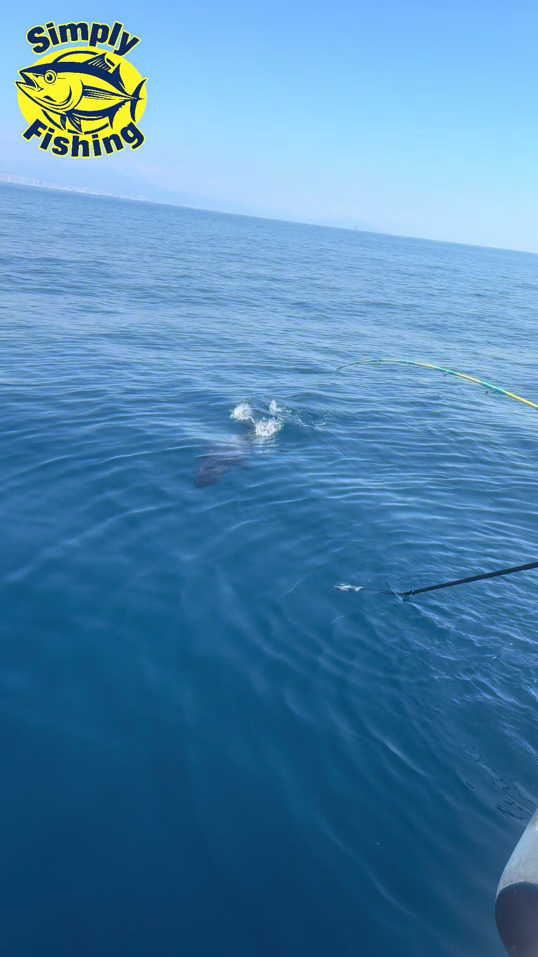 @simplyfishing asd