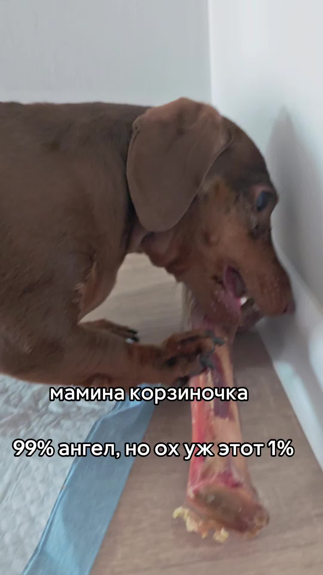 @Yᴀɴᴀ🇪🇪 ꜰʀᴏᴍ ᴇꜱᴛᴏɴɪᴀ