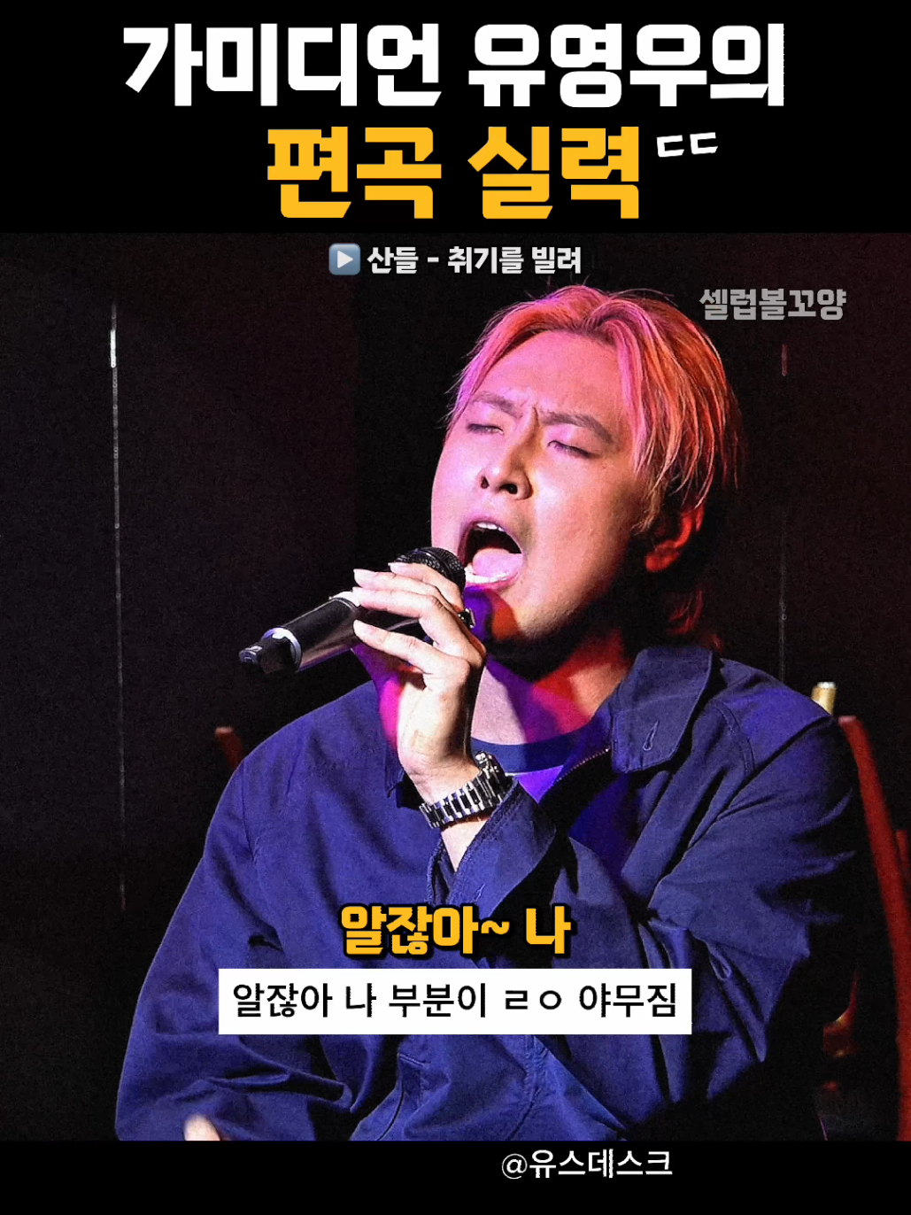 @셀럽볼꼬양
