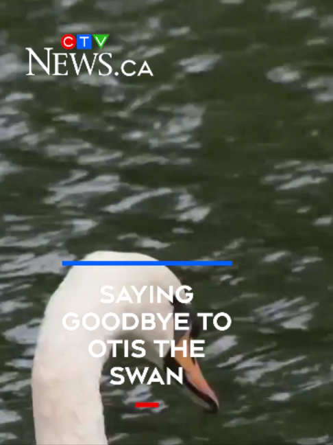 @CTVNewsKitchener