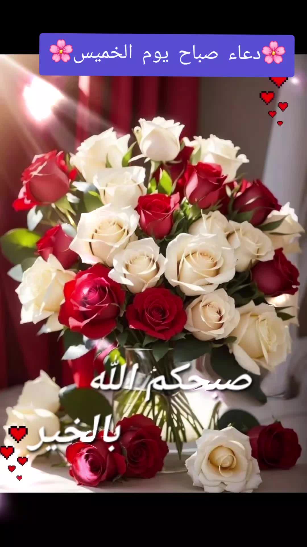 @حديقة الورد🌷🌷