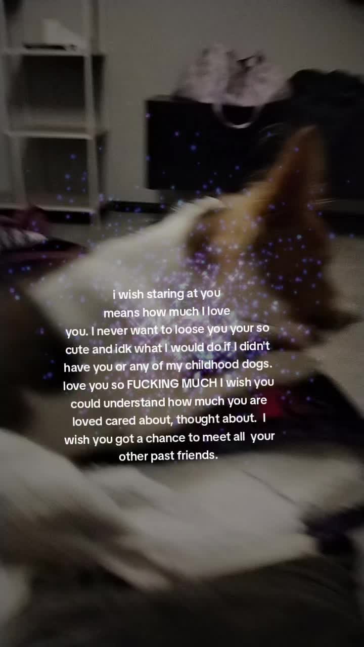 @Savvycheers‧˚꒰🐾୭ ˚. ᵎᵎ