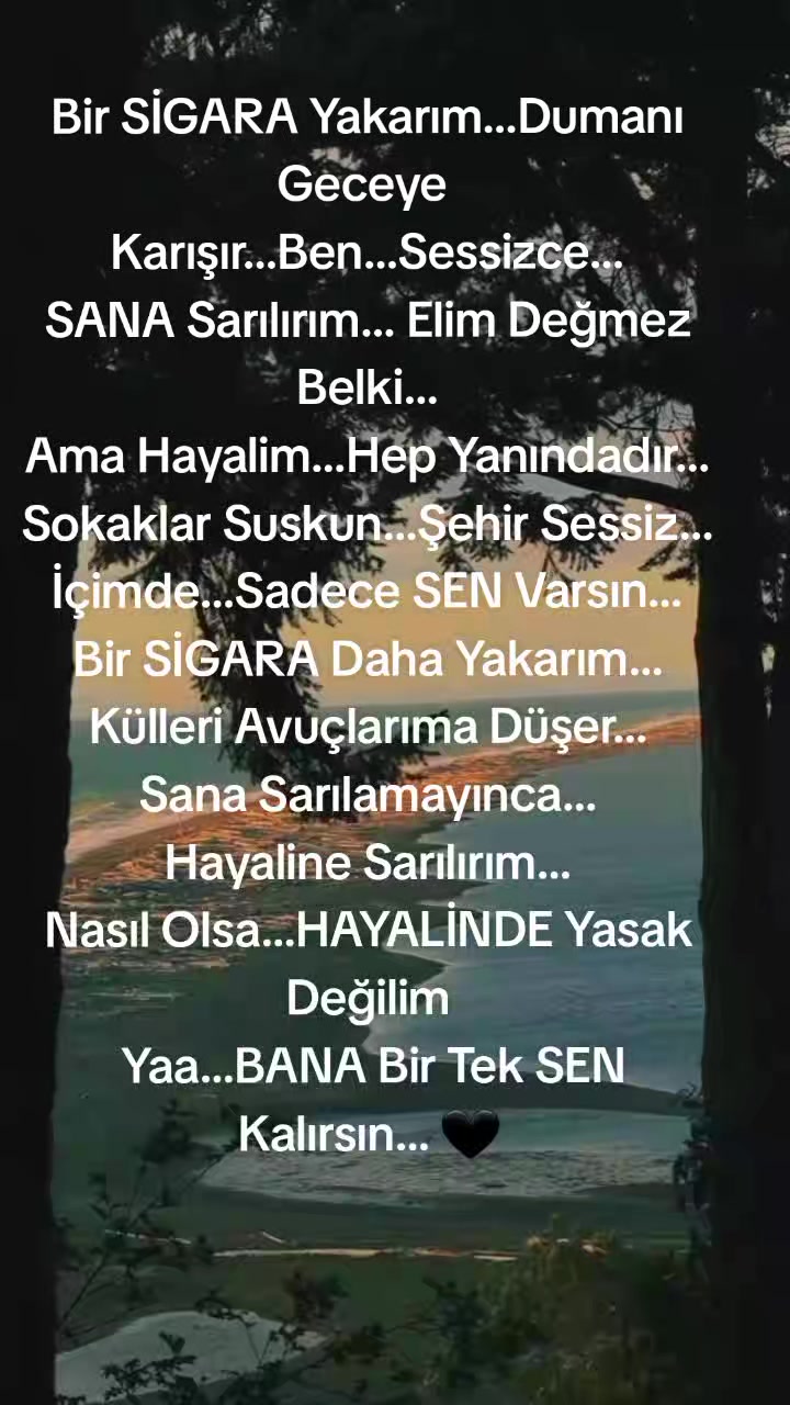 @imdat doğan