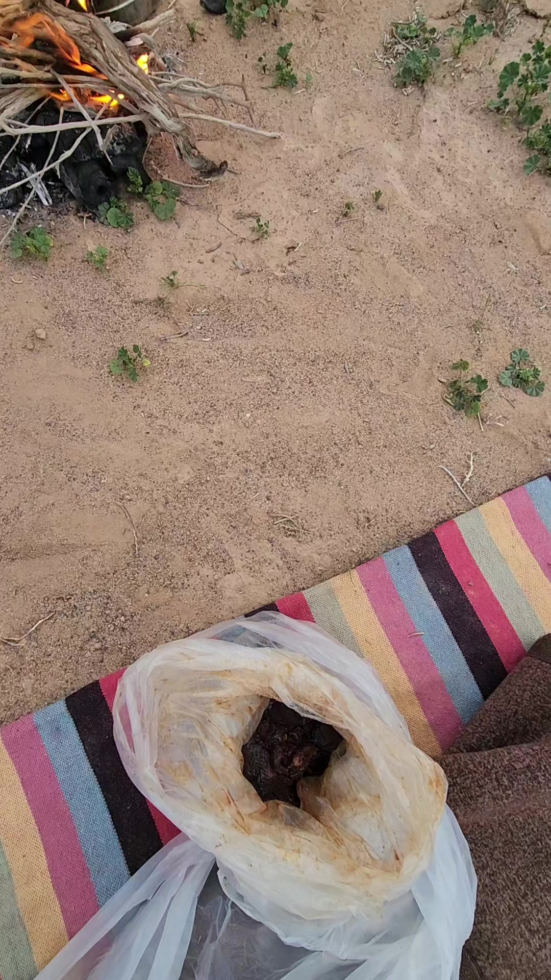 @عبدالله الشراري
