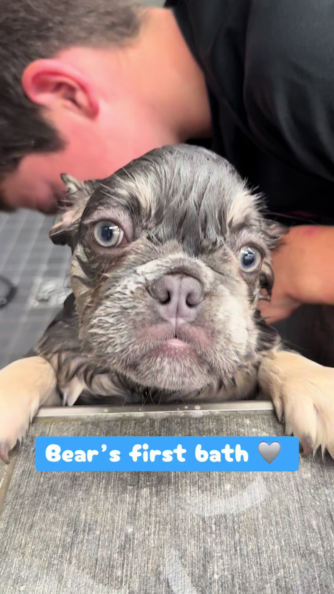 @Bear & Friends