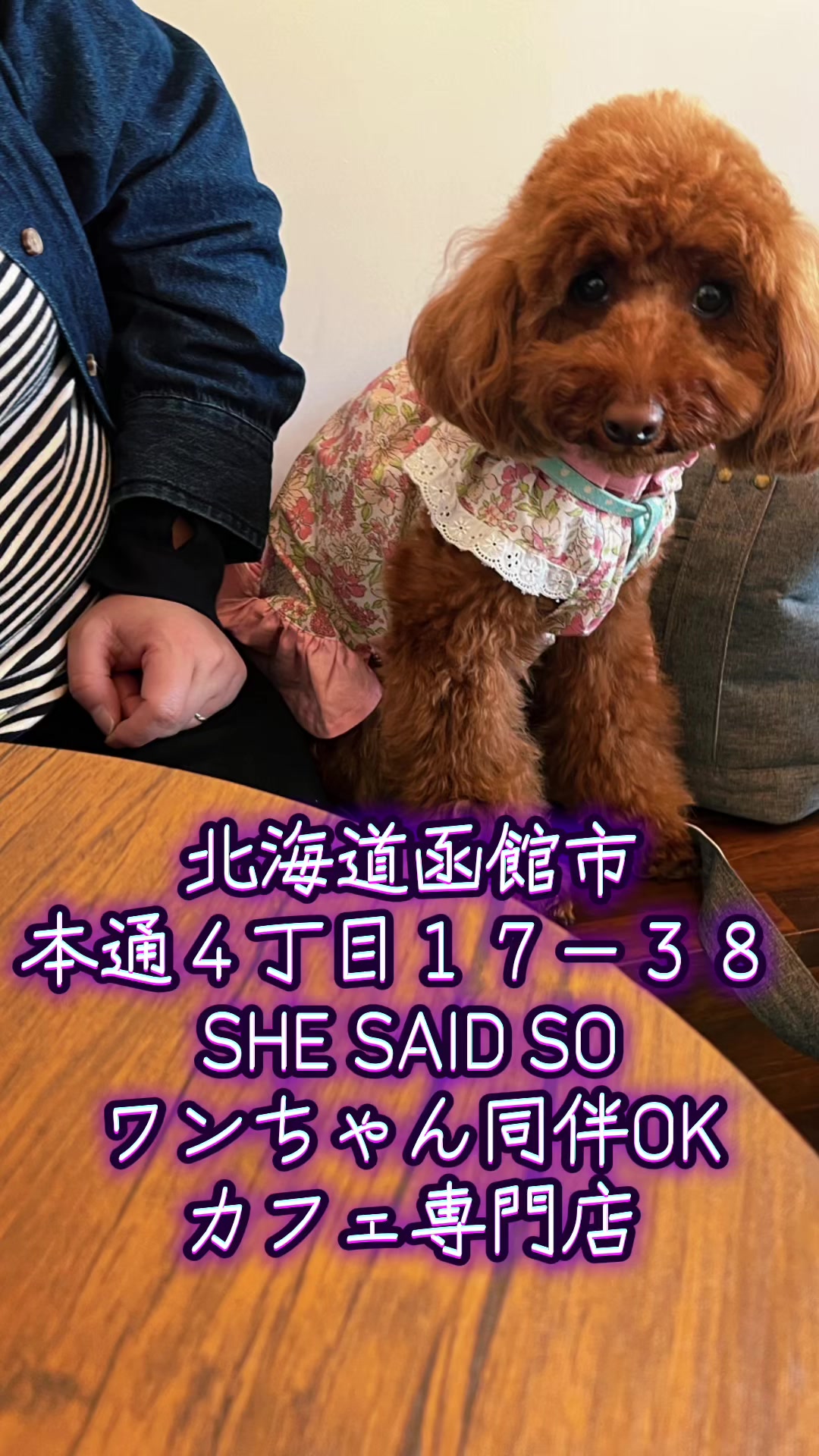 @テディきち