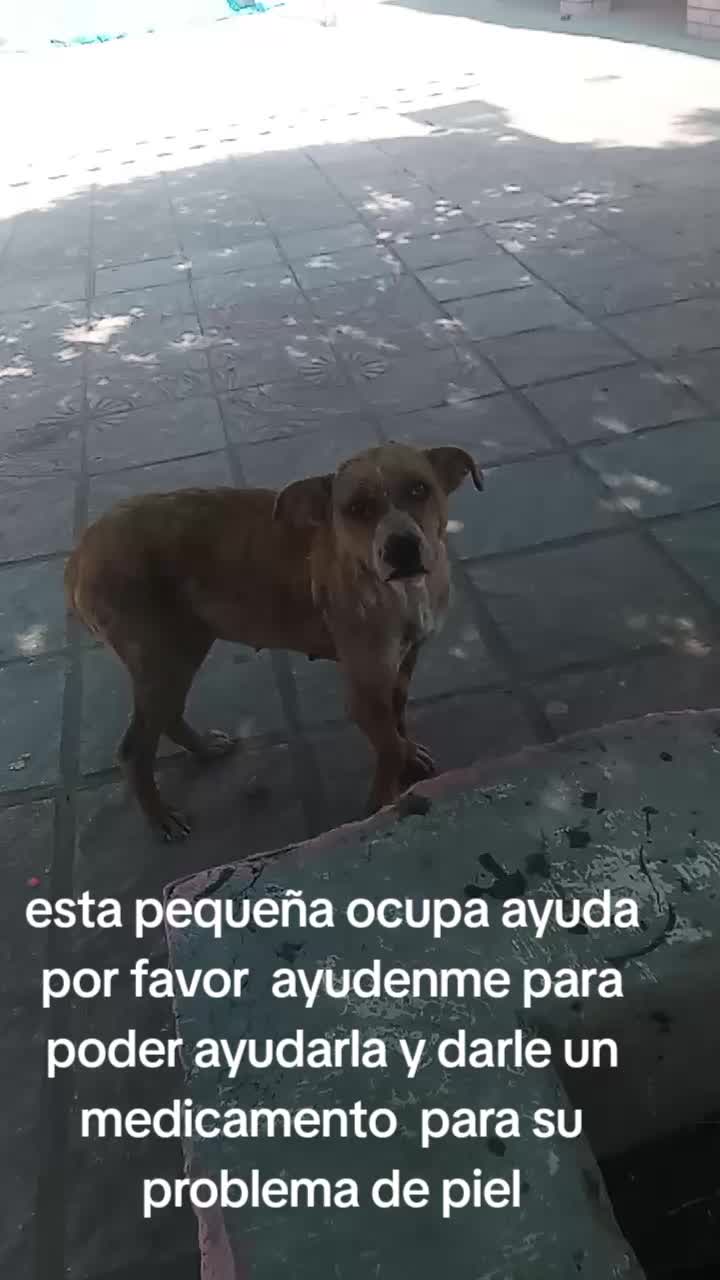 @Angela Aguirre