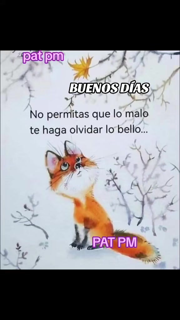 @PAT PM