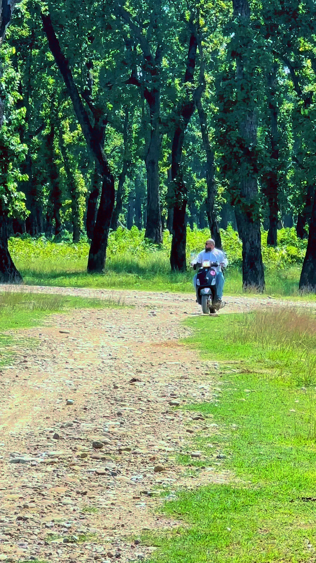 @बादशाहा - रहिस