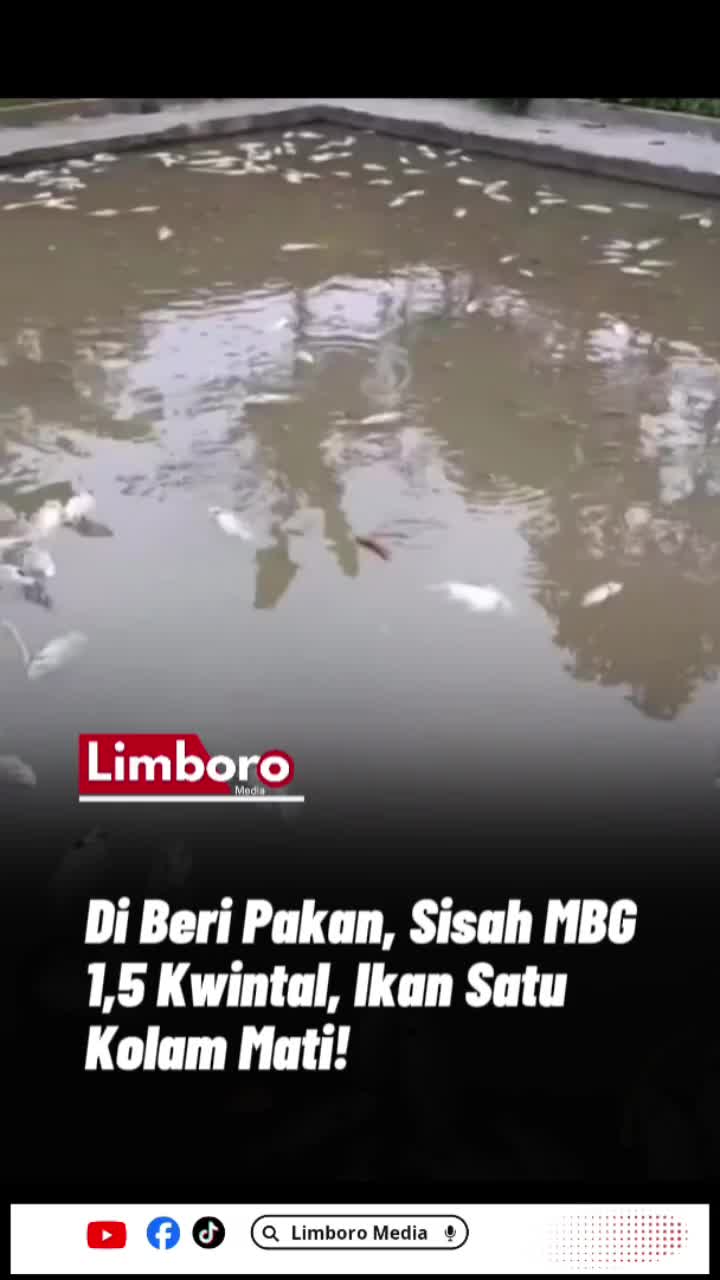 @LimboroMedia