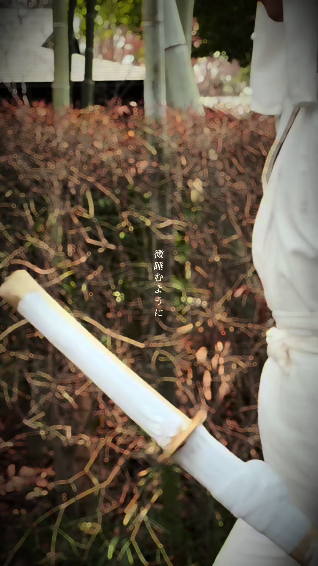 @꒰𑁬翼໒꒱