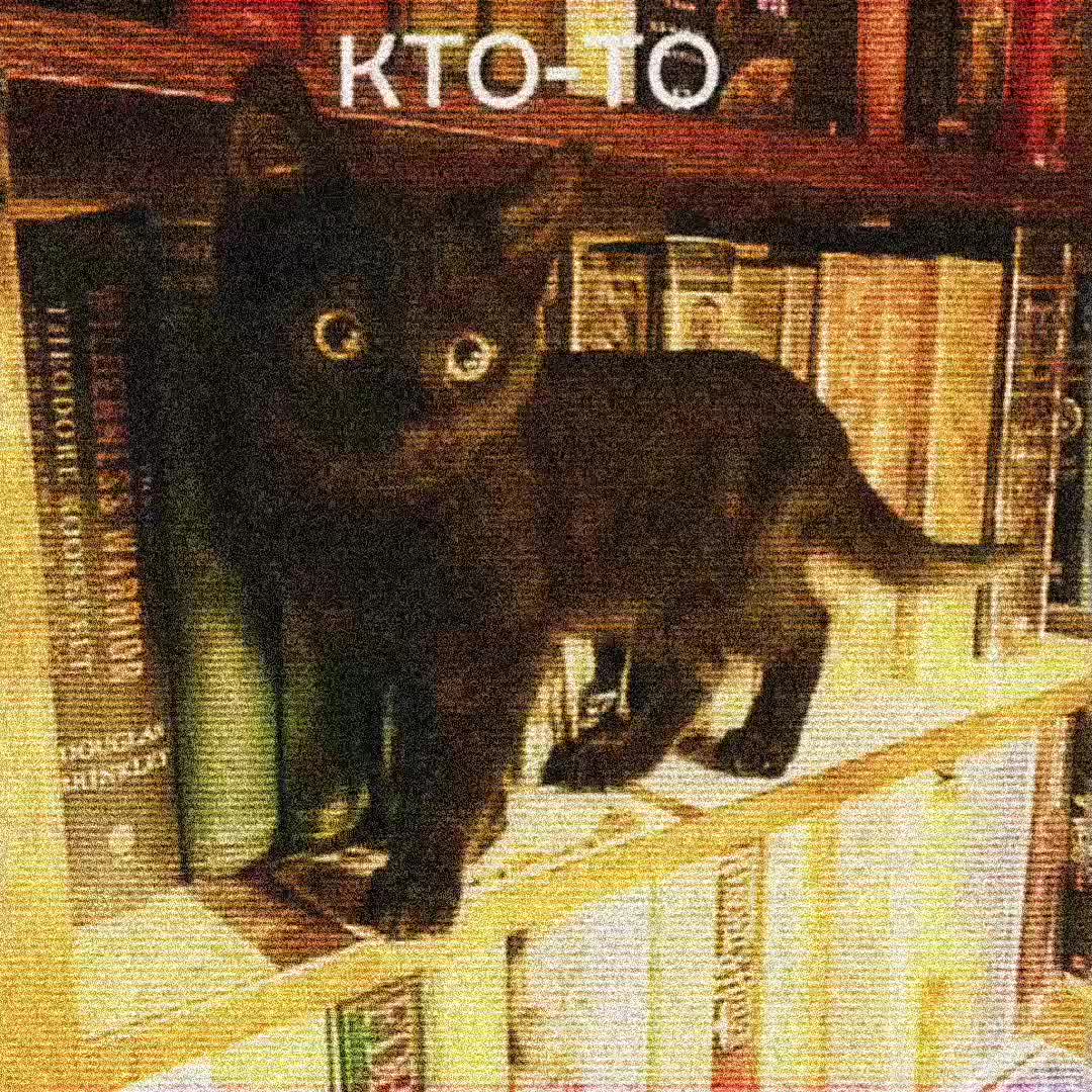 @Депутат Дон
