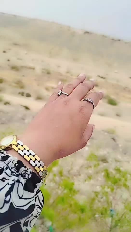 @z shah