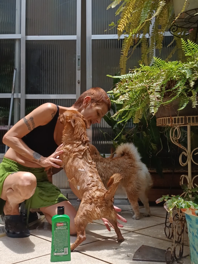 @Cosmos🐕 Maui🐶  Aurora🦊