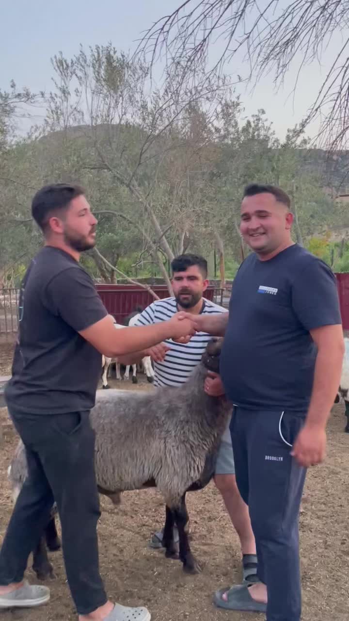 @Mehmet ÜNAL