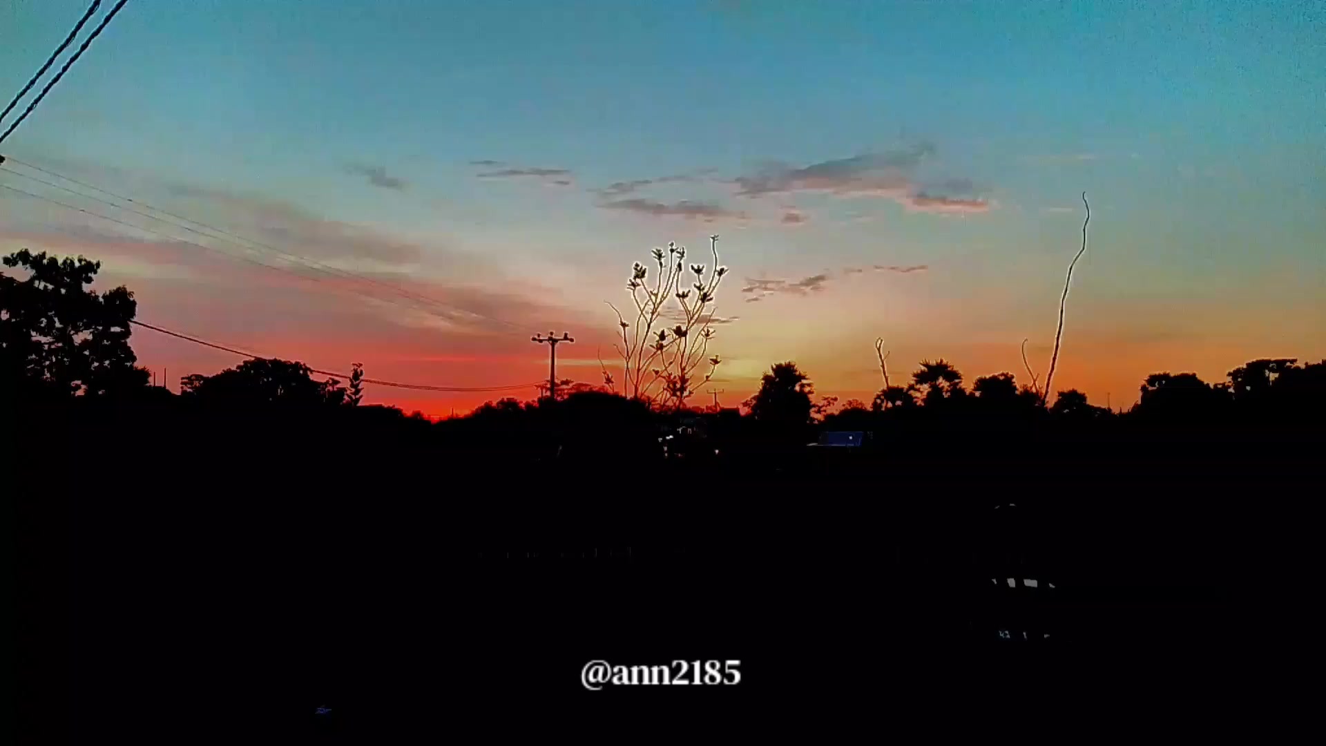 @ann2185 🪼🤍