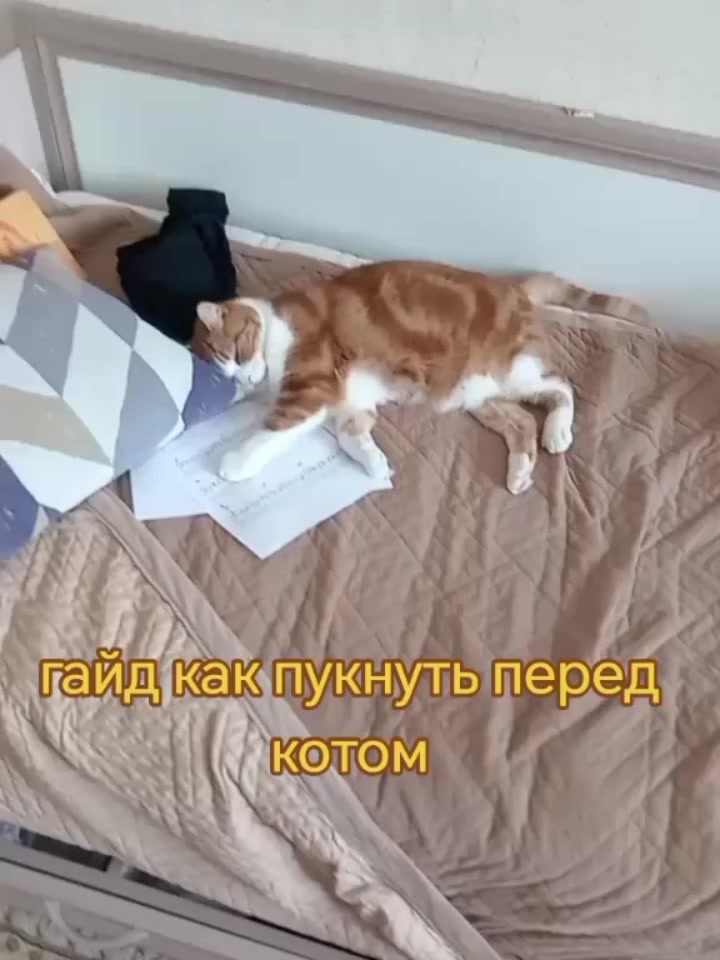 @перчик