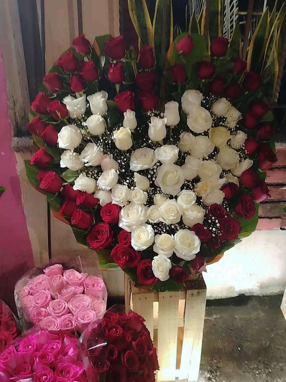 @Aurora Lopez